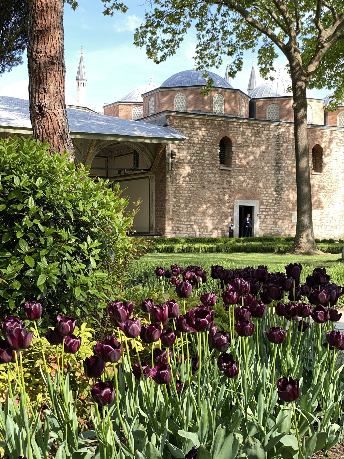 Tulip gardens in Topkapi Palace (Photo: iStockphoto)