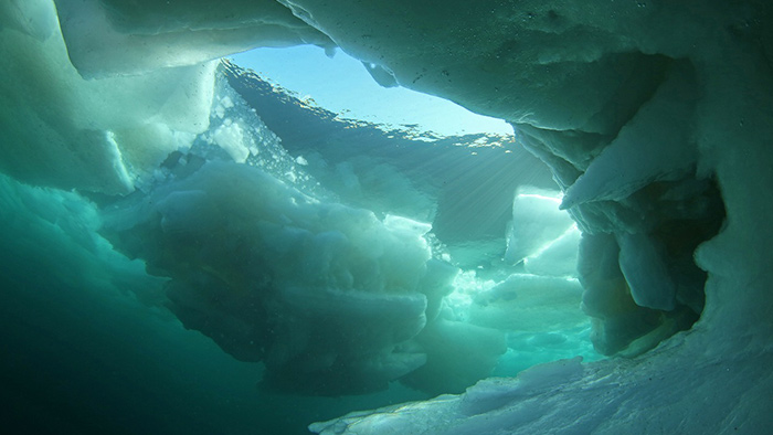 การจัดแสดงน้ำแข็งขั้วโลก ที่พิพิธภัณฑ์โอค็อตสค์ ริวเฮียว ในเมืองอะบาชิริ ฮอกไกโด (รูปภาพ: Okhotsk Ryu-hyo Museum)