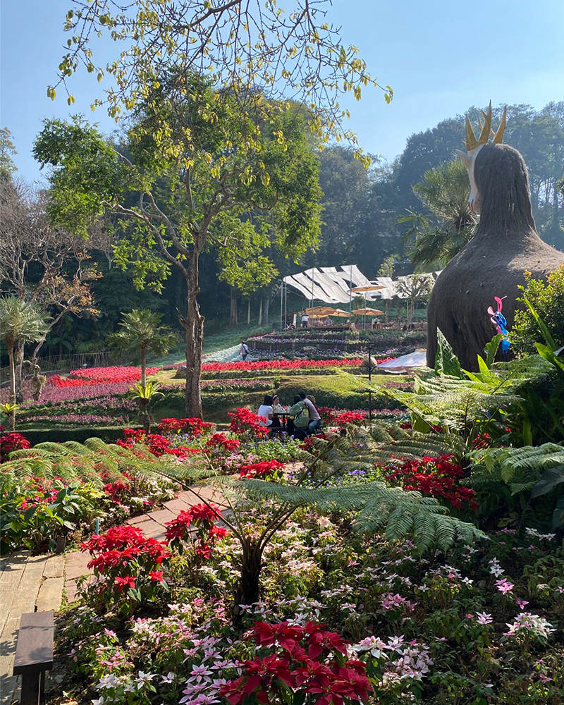 Mae Fah Luang Garden with a new landscape. (Photo: Anya C.)