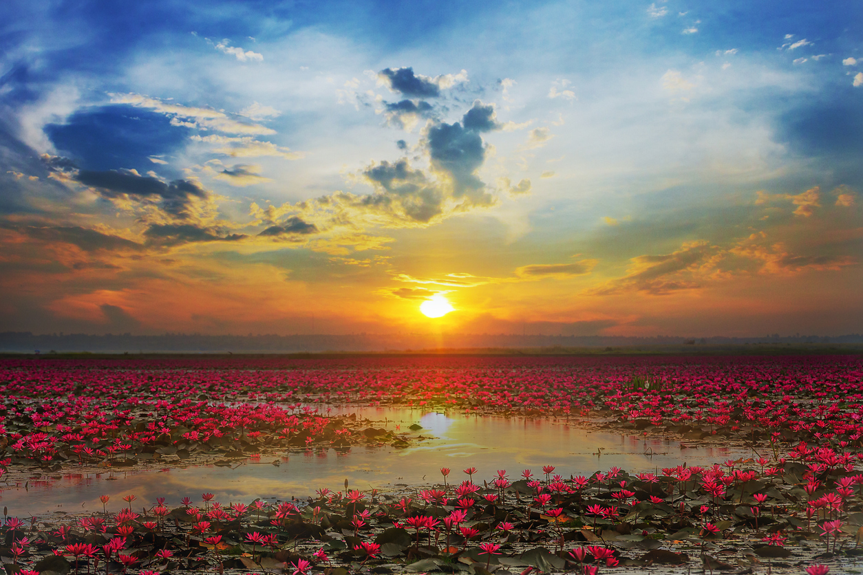 บรรยากาศยามเช้าของหนองหาน อำเภอกุมภวาปี อุดรธานี (รูปภาพ: iStockphoto)