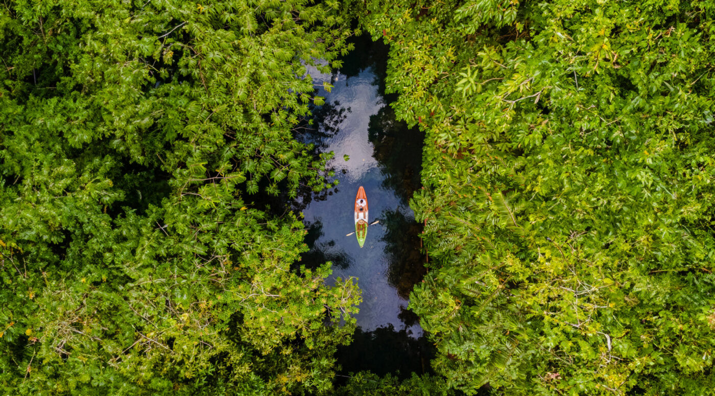 ภาพมุมสูงของการพายเรือคายักในจังหวัดกระบี่ (รูปภาพ: iStockphoto)