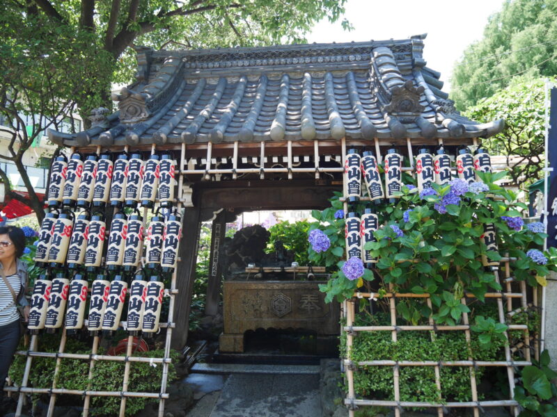Hakusan Jinja Shrine (Photo: Anya C.)