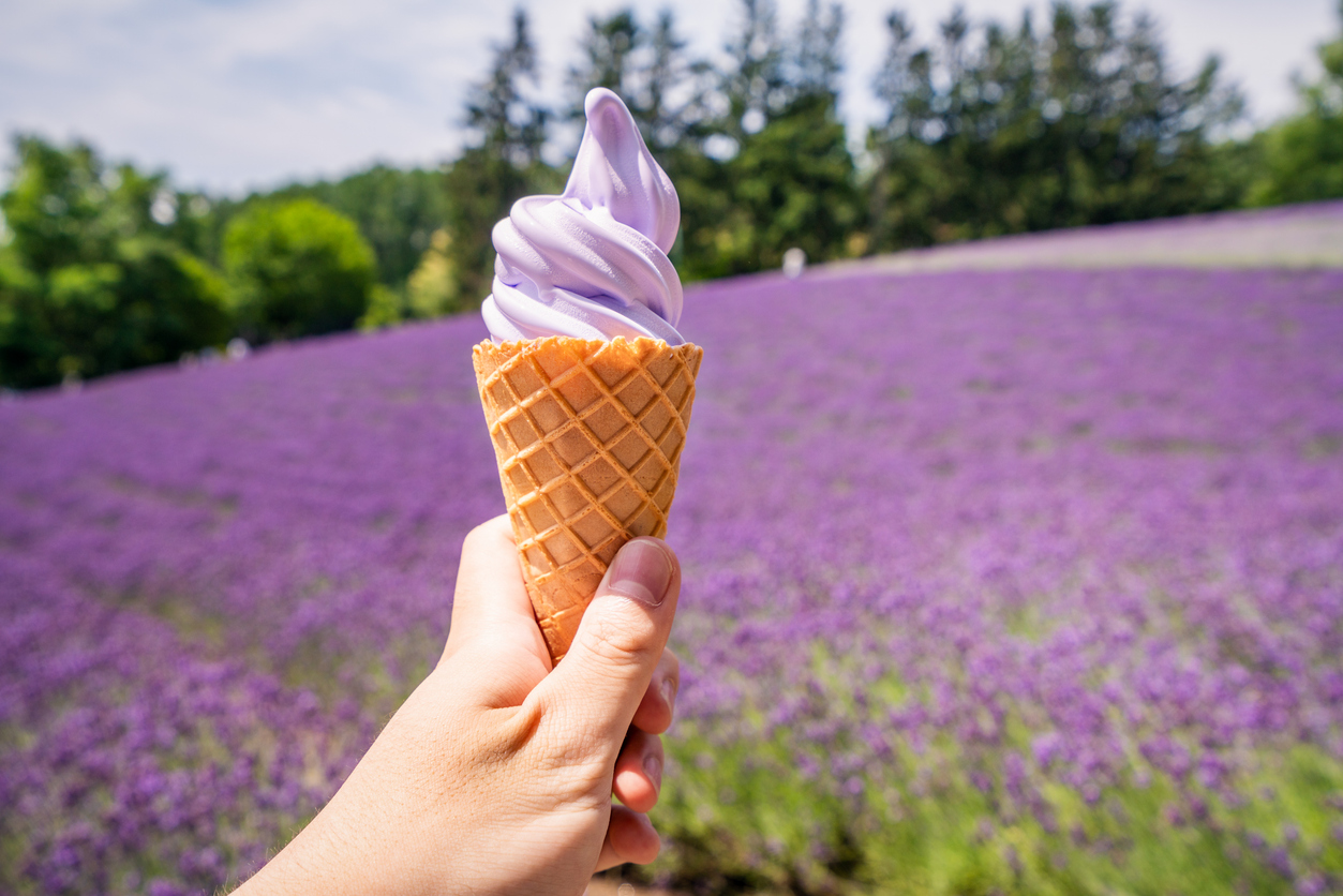 Lavender flavored ice cream at Tomita Farm (Photo: iStockphoto)