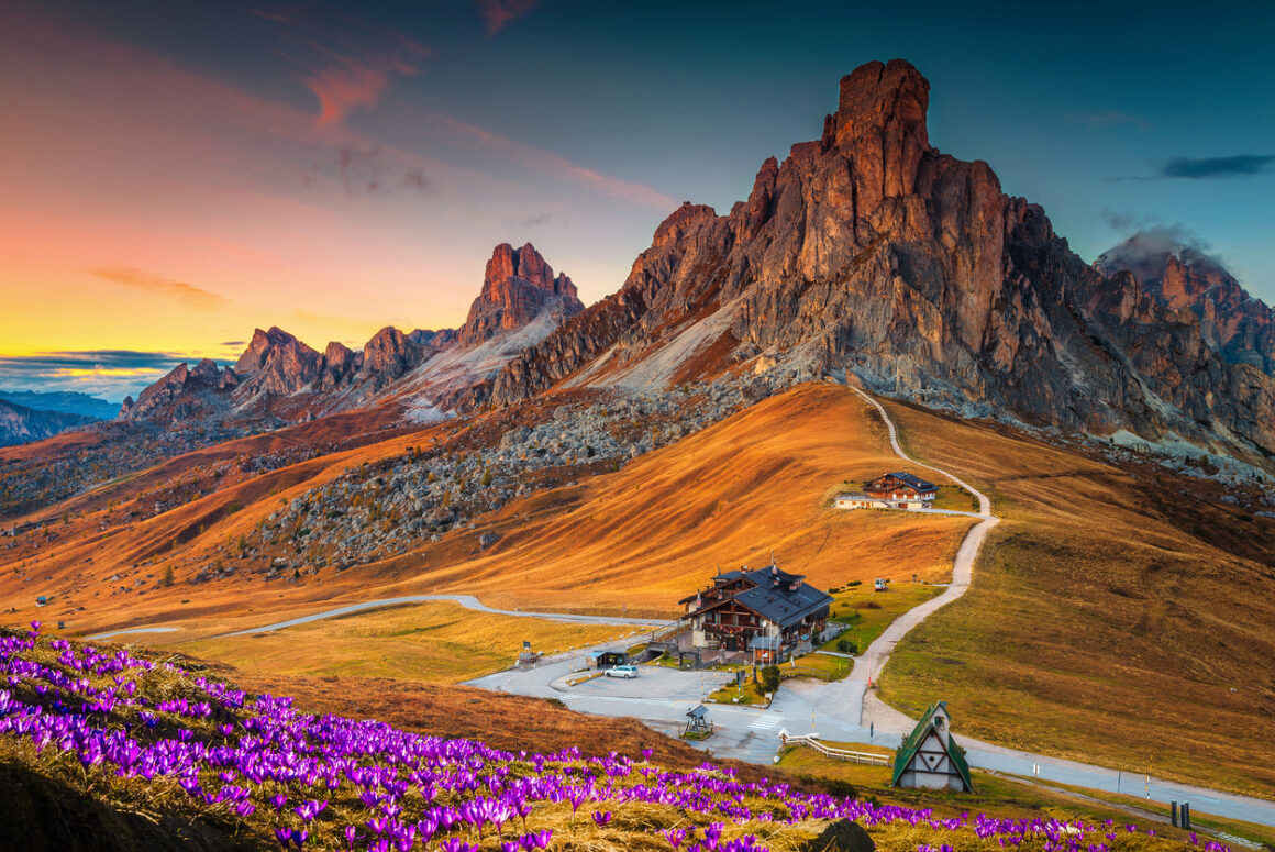Flower fields blooming at the Dolomite Mountains (Photo: iStockphoto)