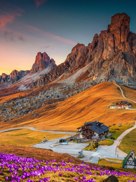 Flower fields blooming at the Dolomite Mountains (Photo: iStockphoto)