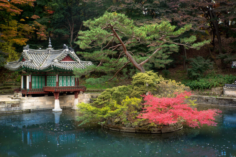 Secret garden in Changdeokgung Palace (Photo: iStockphoto)