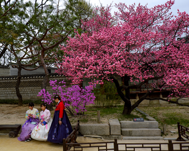 Changdeokgung Palace (Photo: iStockphoto)
