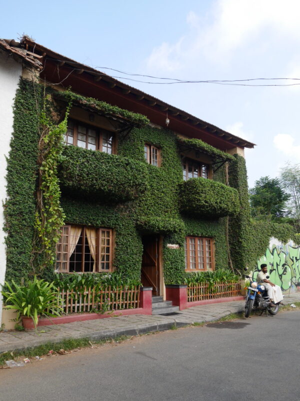 Local houses and buildings in Fort Kochi (Photo: Anya C.)