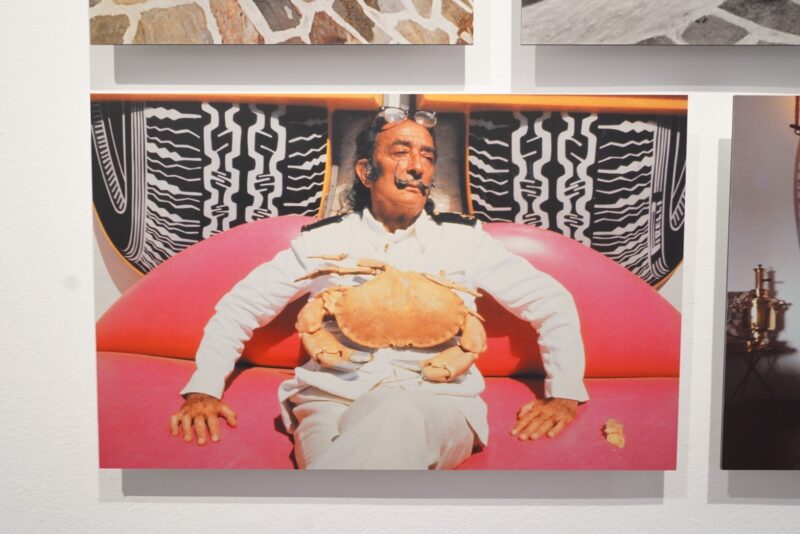 Portraits of Salvador Dalí (Photo Credit: Anya C.)