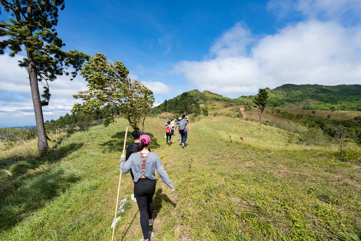 Forest restoration activities on the Legacy Trail (Photo Credit: iStockphoto)