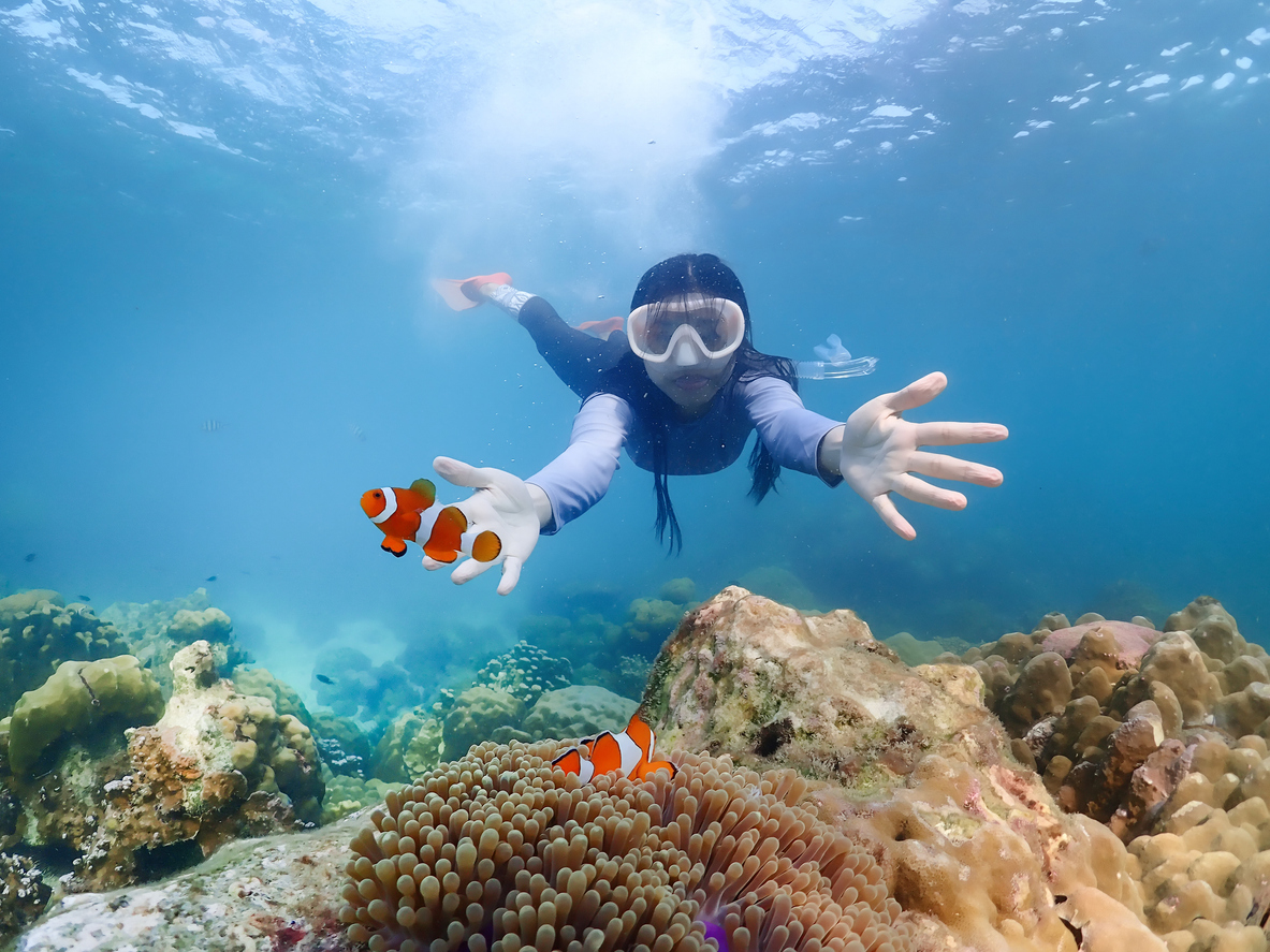 Dive, see coral reefs and experience beauty of the underwater world (Photo Credit: iStockphoto)