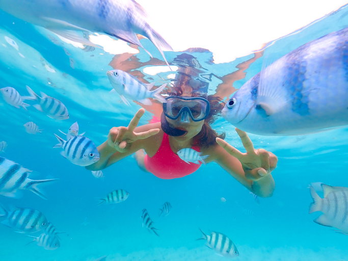 Snorkeling (Photo Credit: iStockphoto)