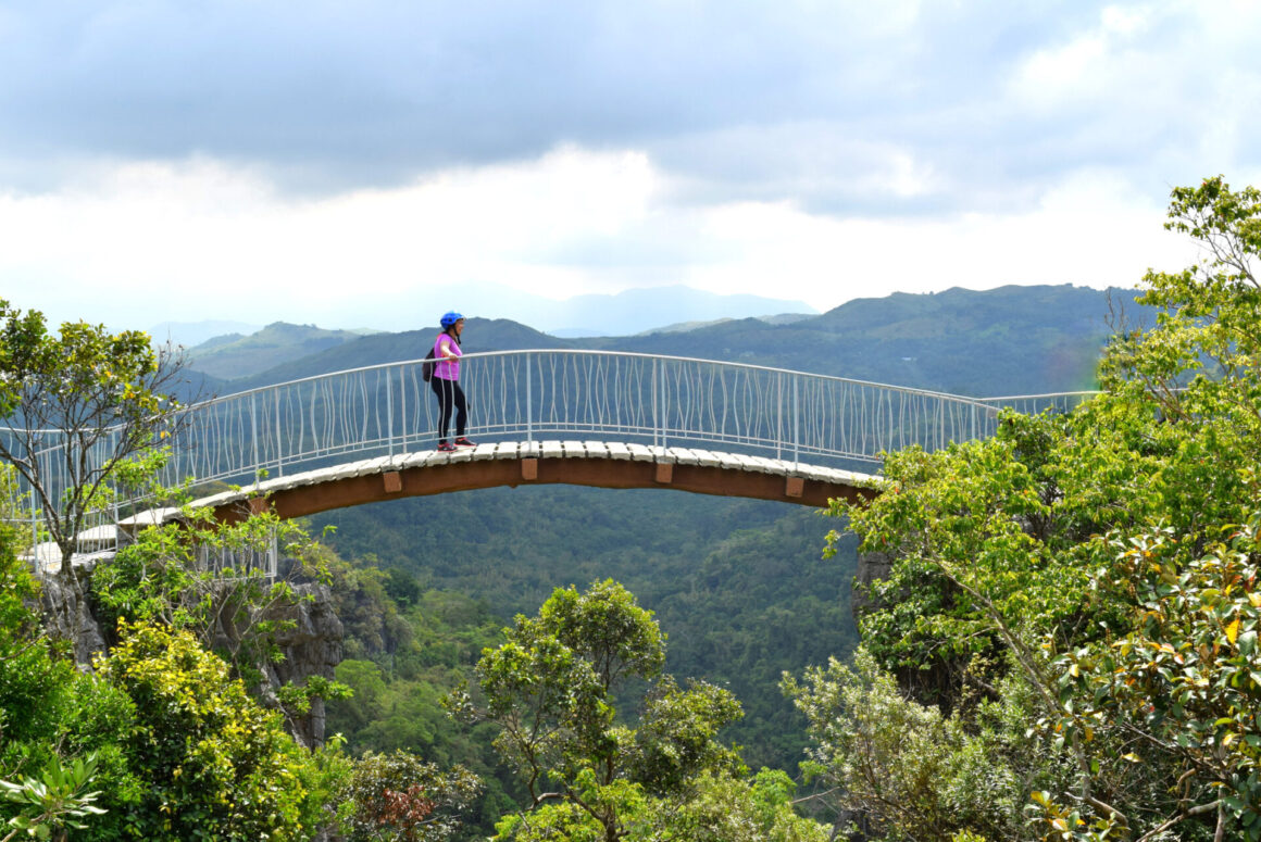 เขตอนุรักษ์ภูมิศาสตร์มาซูงิ (เครดิตรูปภาพ: iStockphoto)