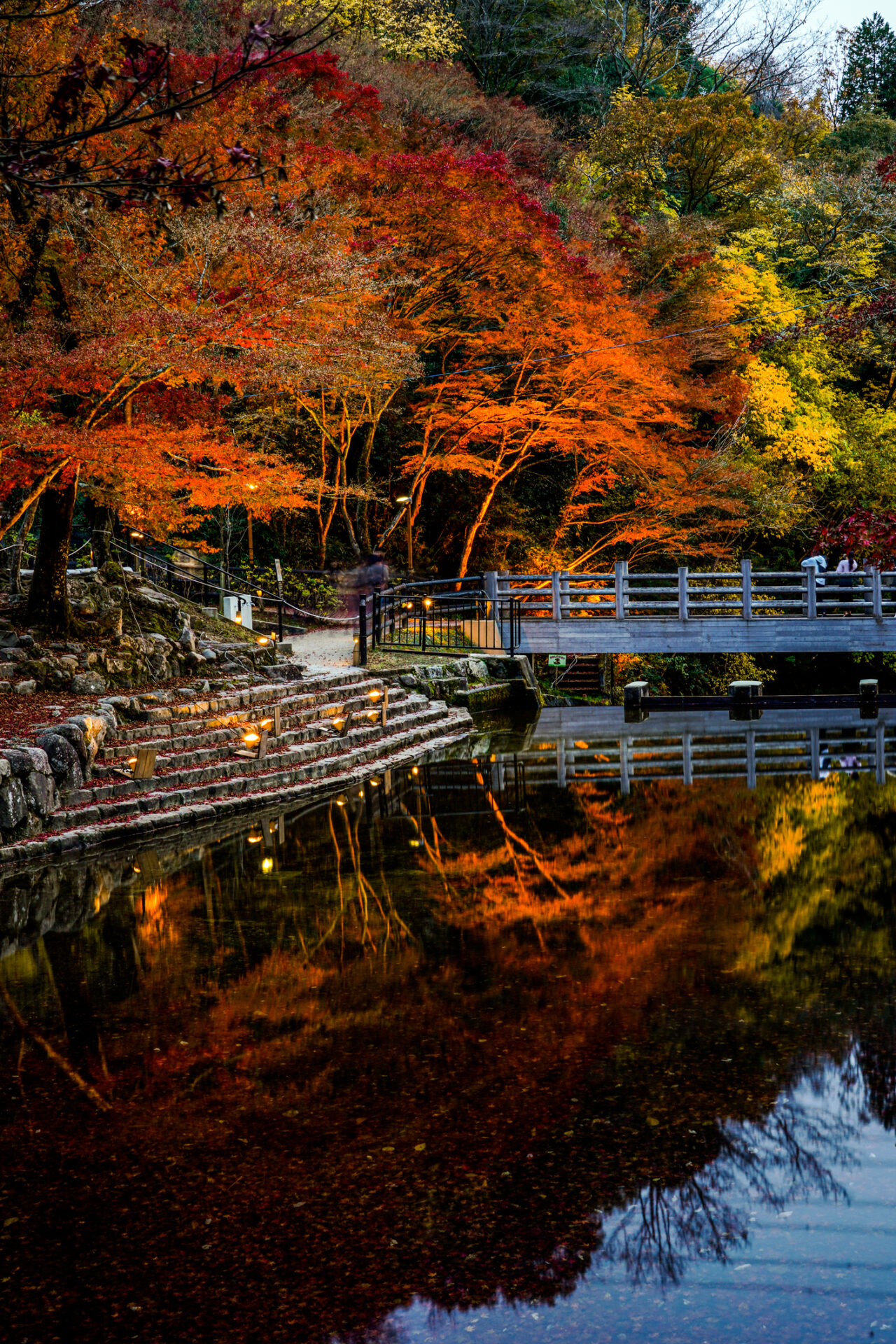 The atmosphere of Aichi Kogen Quasi-National Park (Photo Credit: iStockphoto)