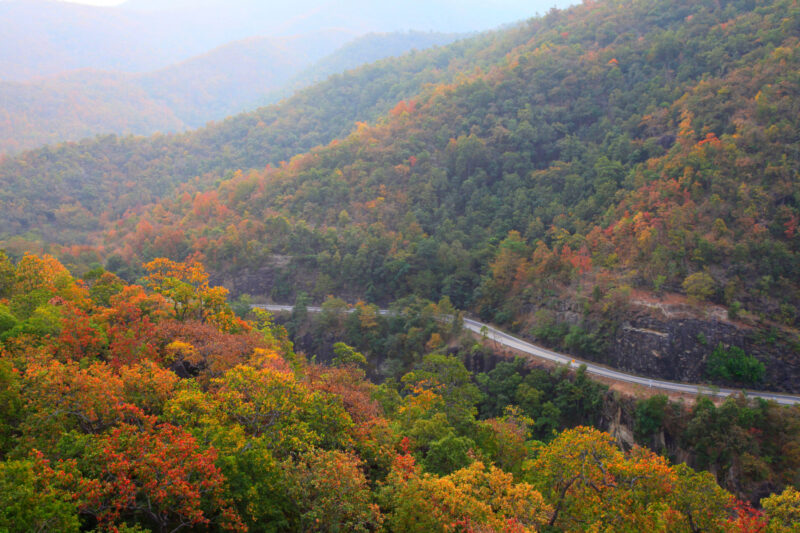 ความสวยงามของป่าหลากสีสันในเขตอุทยานแห่งชาติออบหลวง (เครดิตรูปภาพ: iStockphoto)