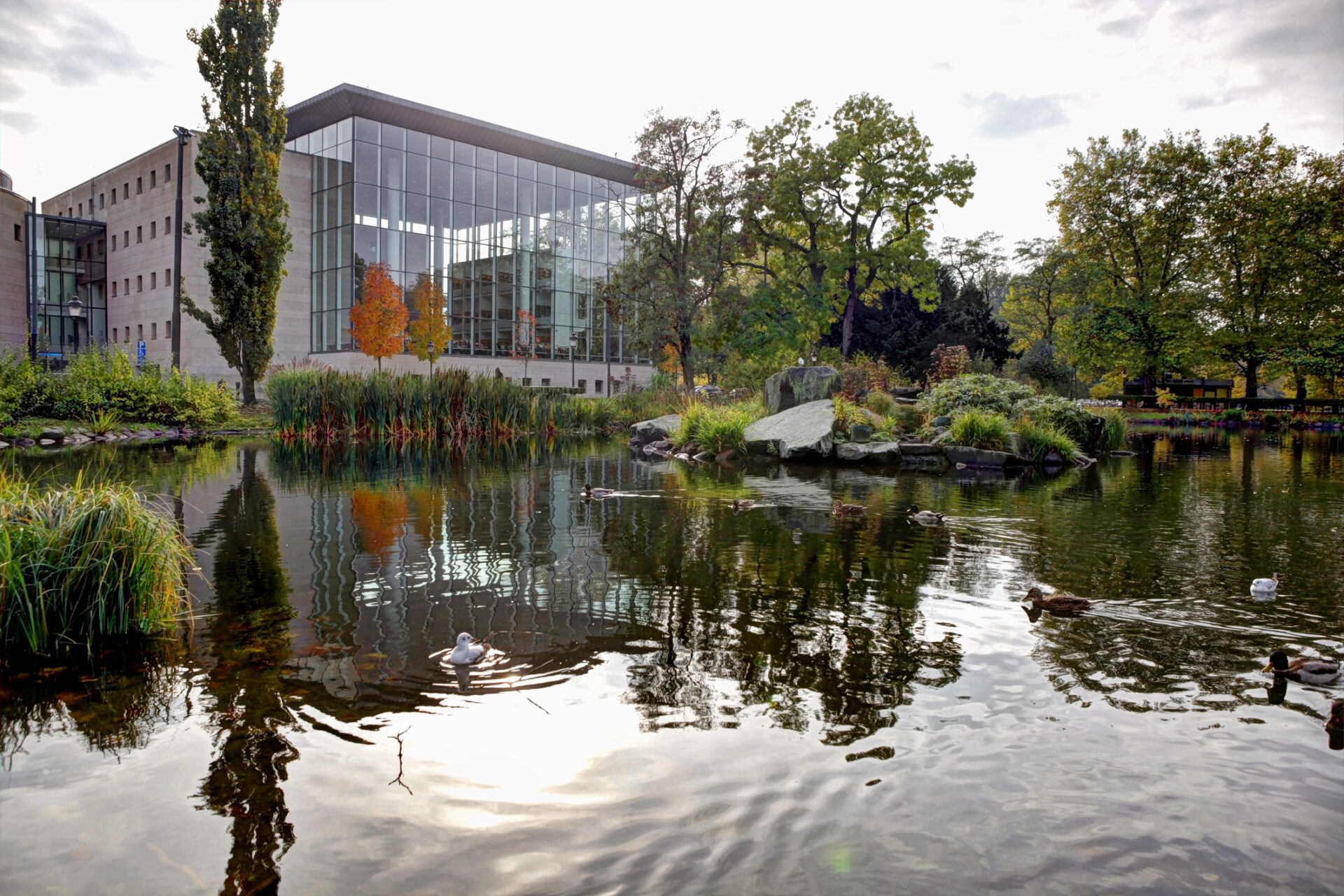 Malmö City Library (Photo Credit: iStockphoto)