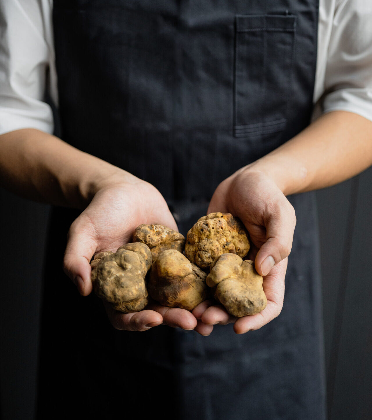 Truffle (Photo Credit: iStockphoto)