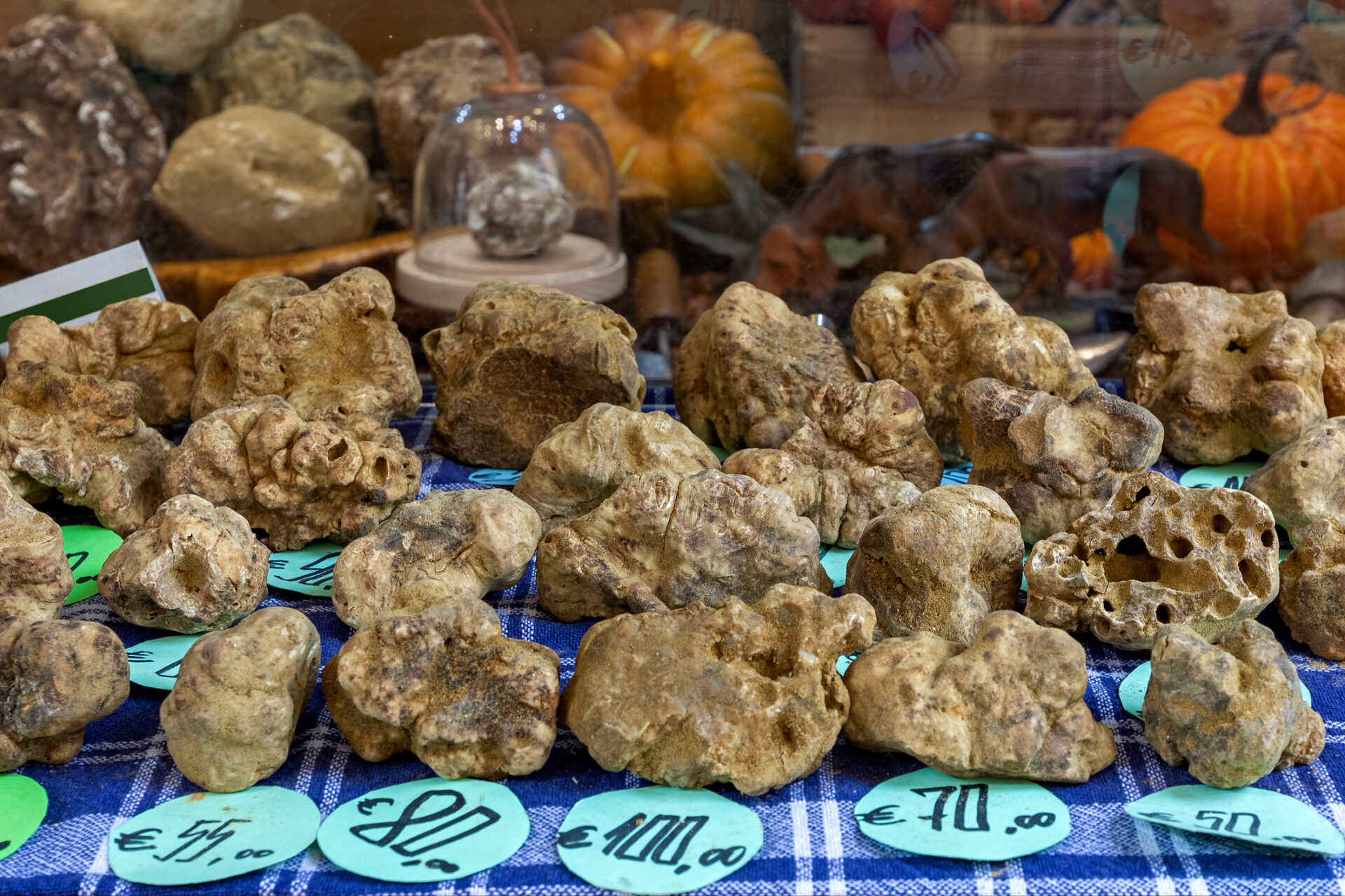 Truffle (Photo Credit: iStockphoto)