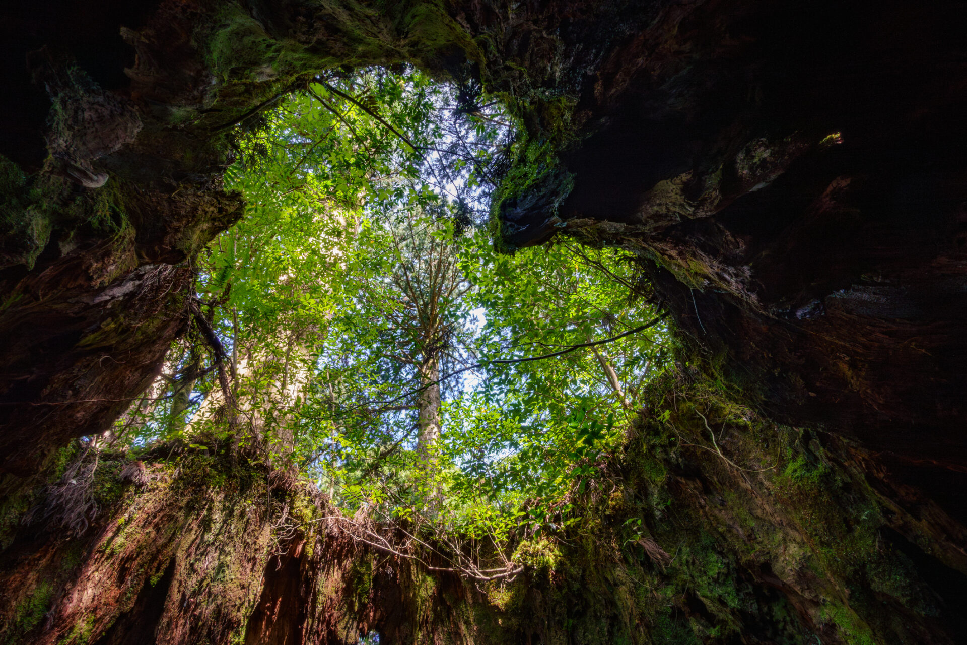 Views of Shiratani Unsuikyo Valley (Photo Credit: iStockphoto)