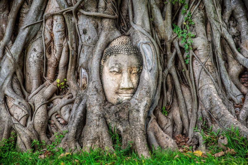 วัดมหาธาตุ (เครดิตรูปภาพ: iStockphoto)