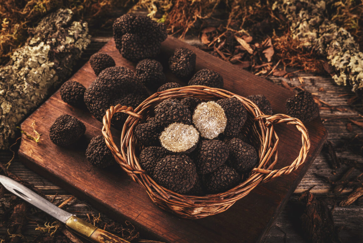 Truffle (Photo Credit: iStockphoto)