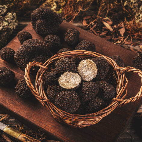 Truffle (Photo Credit: iStockphoto)