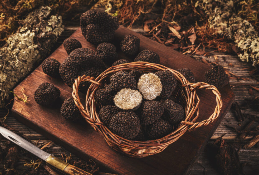 Truffle (Photo Credit: iStockphoto)