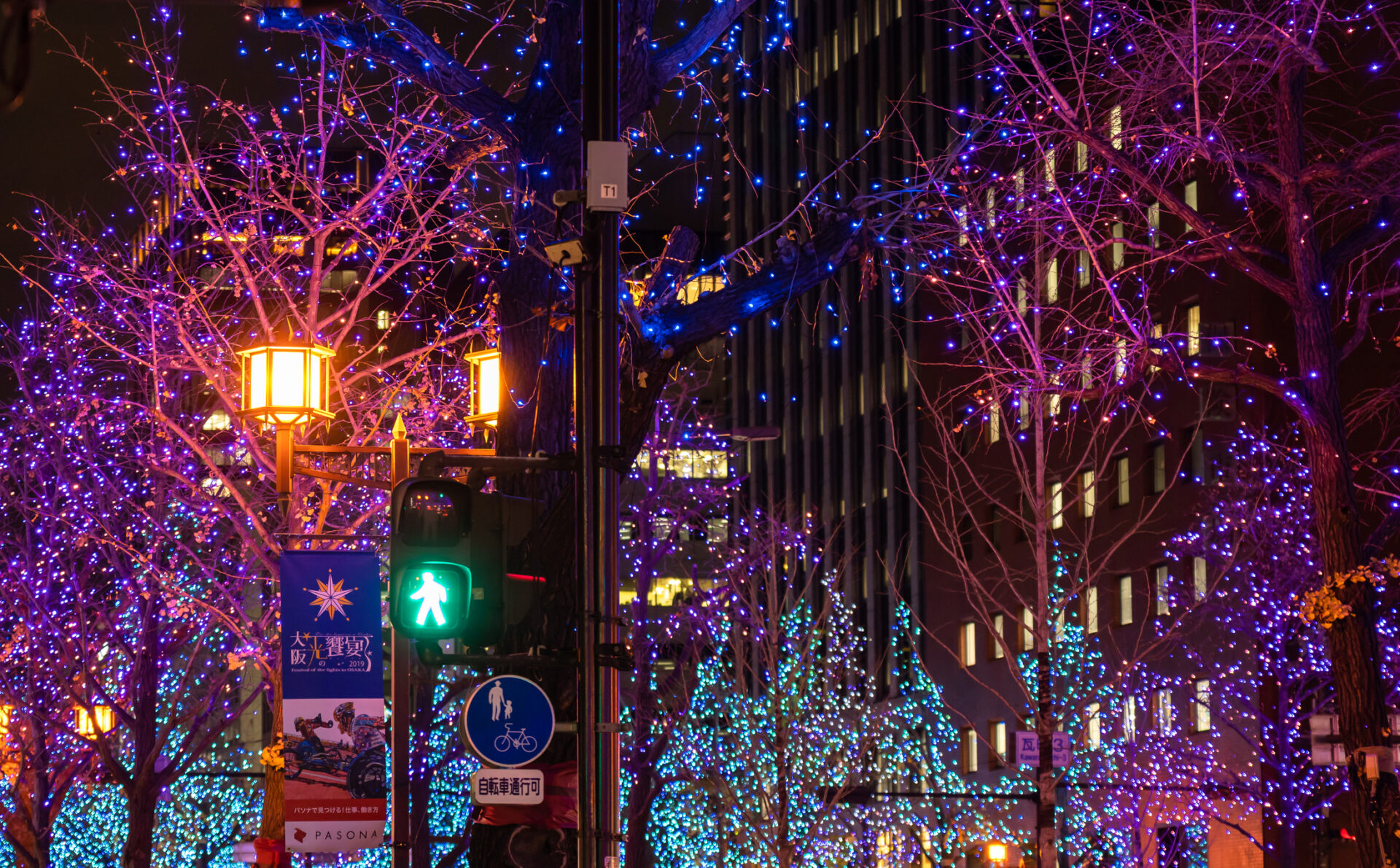 The vibrant hues of Osaka's beloved light festival come alive each winter. (Photo Credit: iStockphoto)