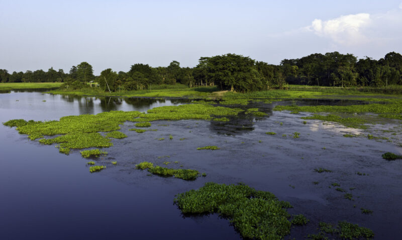 Majuli Island (Photo Credit: iStockphoto)