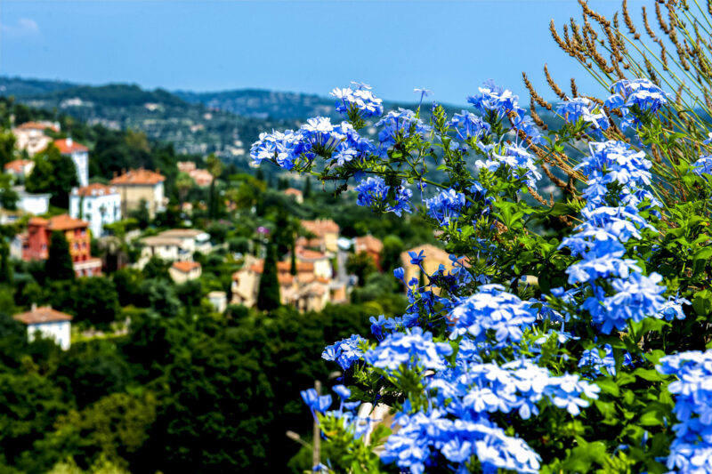 Grasse (Photo Credit: iStockphoto)