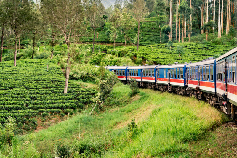 รถไฟแล่นผ่านไร่ชาที่นูวารา เอลิยา ศรีลังกา (เครดิตรูปภาพ: iStockphoto)