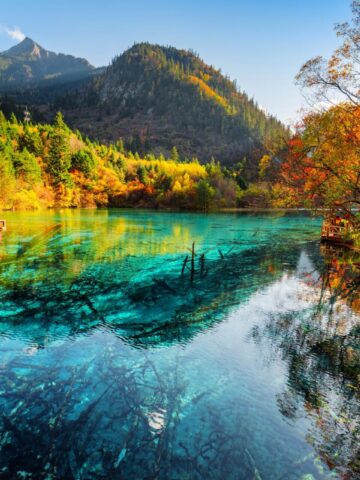 สีสันตระการตาของจิ่วจ้ายโกวในฤดูใบไม้ร่วง (เครดิตรูปภาพ: iStockphoto)