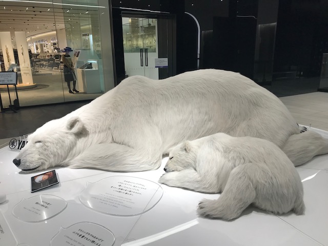 A charming figurine of a mother bear and her cub, peacefully nestled in slumber, lulled by the soft, melodic strains of music. (Photo Credit: Tassanee Y.)