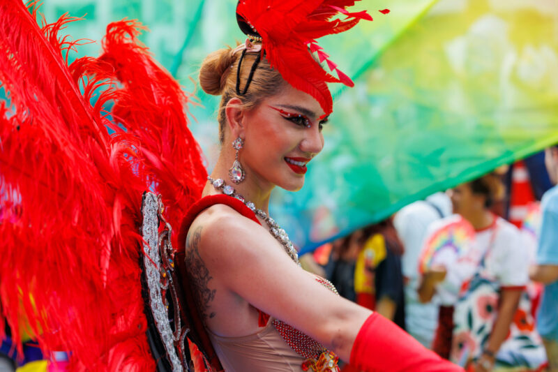 A spectacular costume in the PRIDE parade.