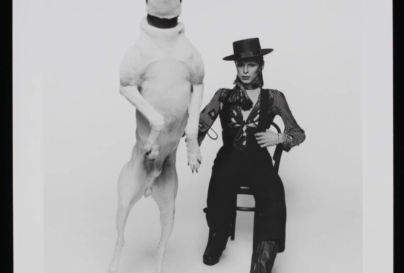 David Bowie, photograph, by Terry O'Neill, 1974, London, England