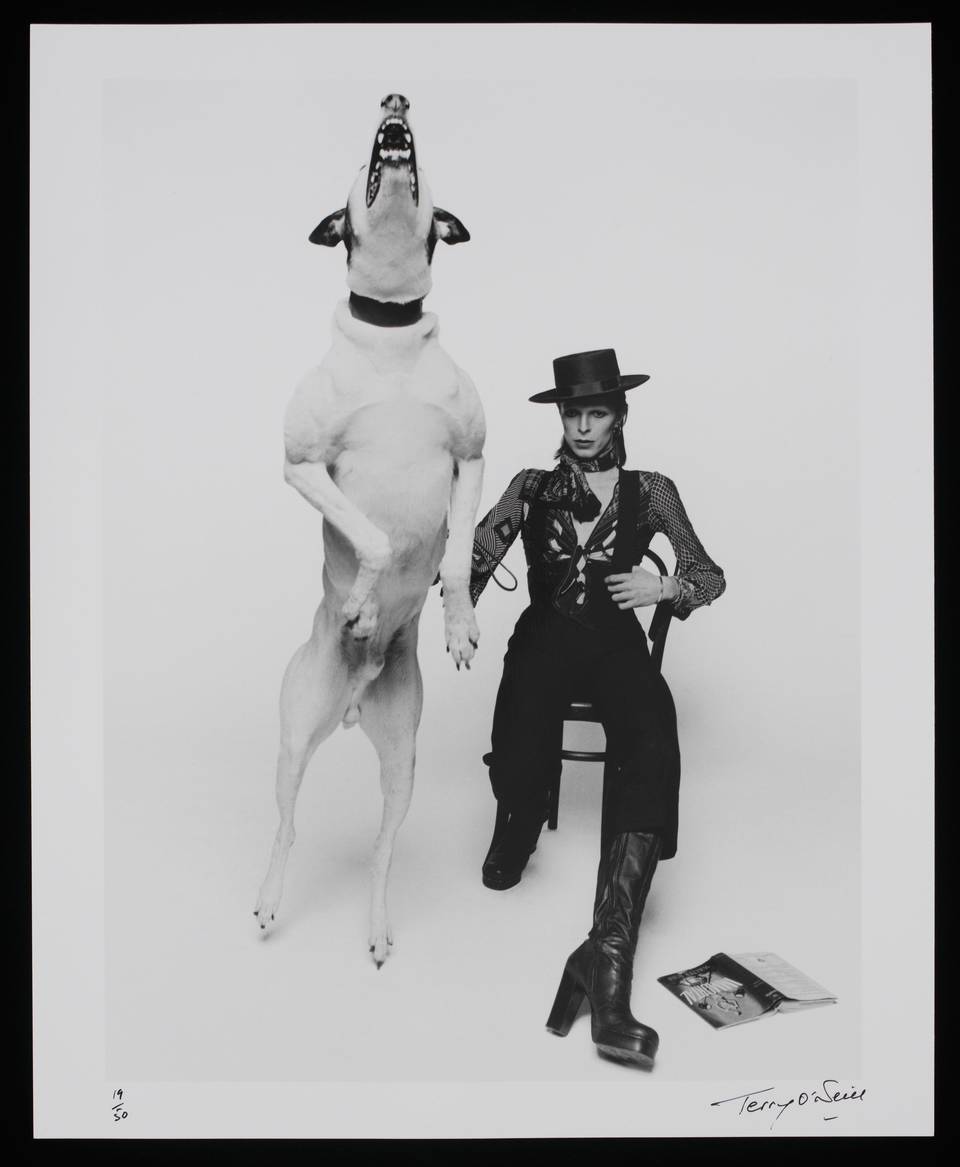 David Bowie, photograph, by Terry O'Neill, 1974, London, England