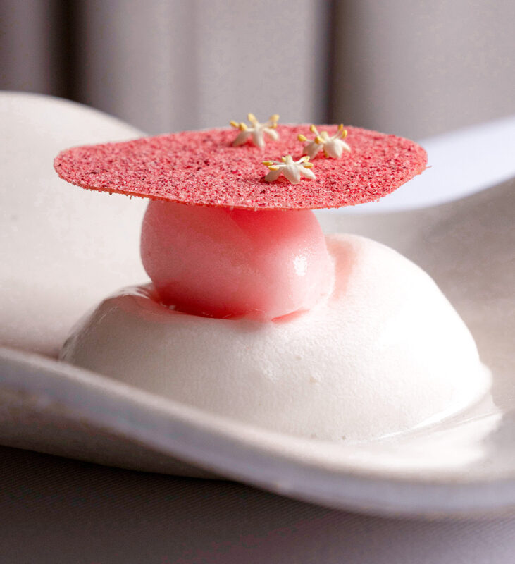 Karonda sorbet is beautifully garnished with pink tuille.
