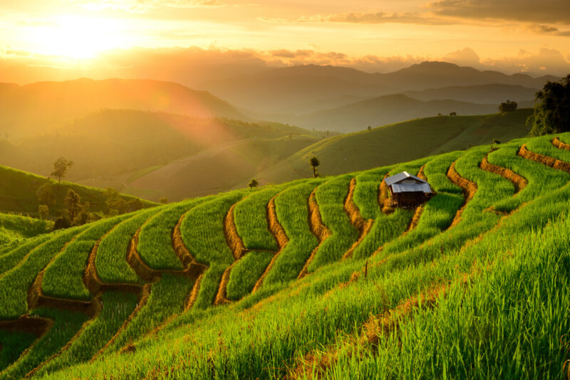 A sunset over the fields. 