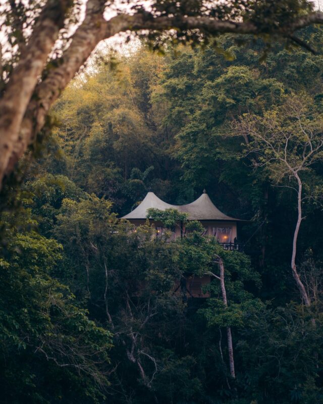 Glamping in style at the Four Seasons Tented Camp Golden Triangle.
