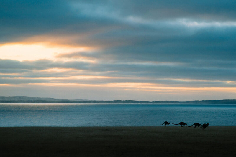 Phillip Island, Melbourne, Australia