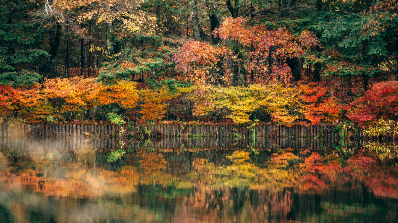 A reflection of autumn in Japan.