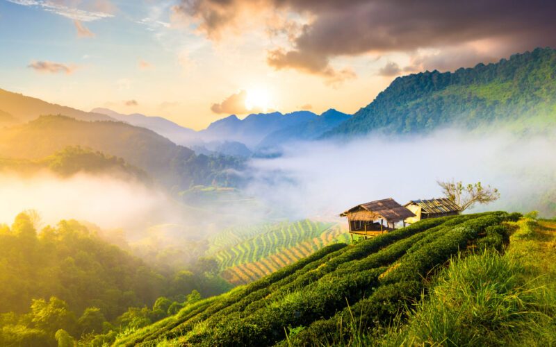 Morning mist in the mountain.