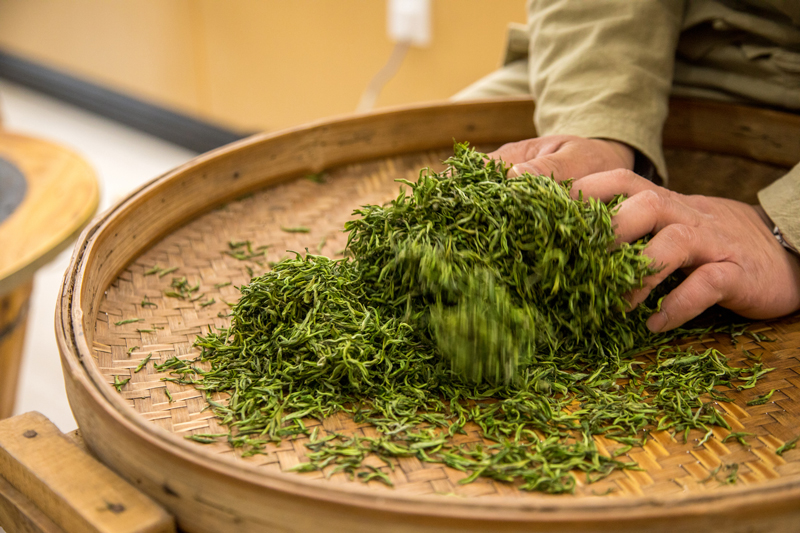 Tea crafting with hands.