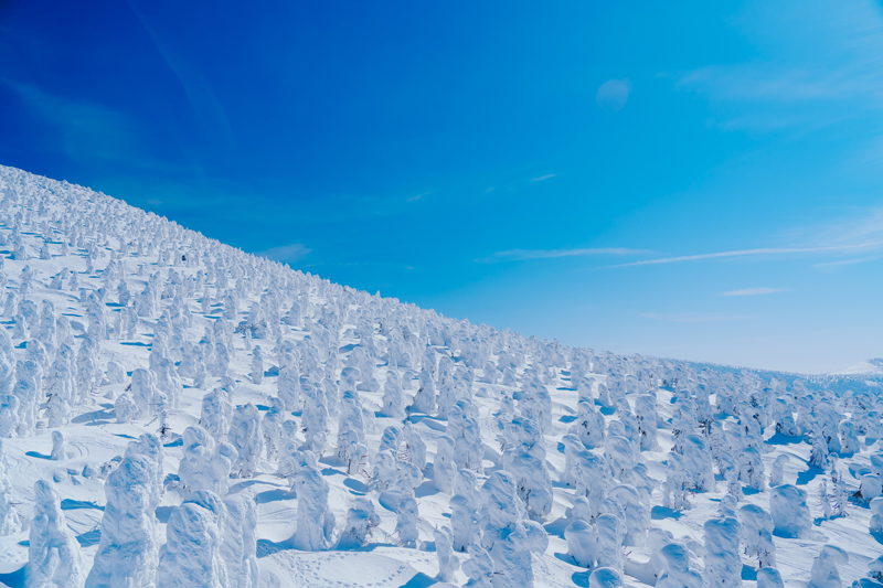 The season of snow monsters begins in December.