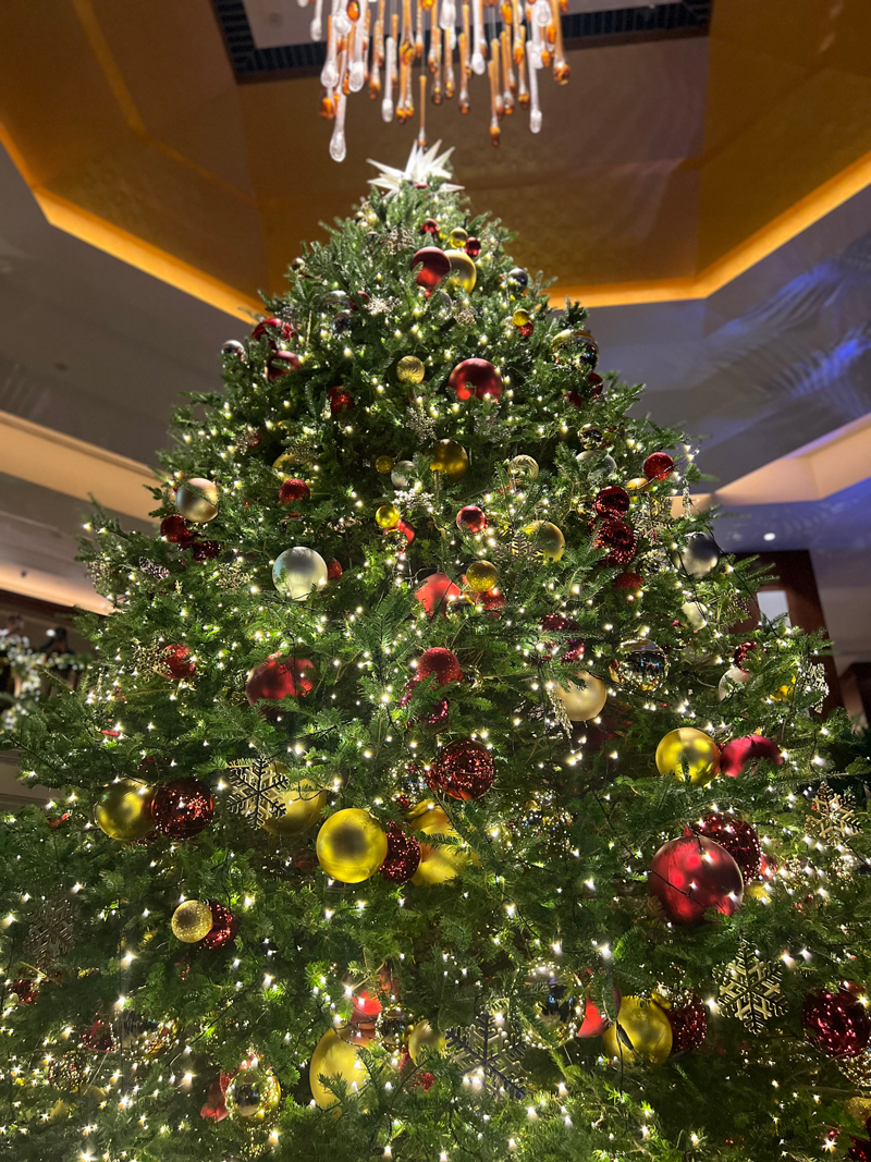 The fresh pine tree gives the fragrance of the festive season.