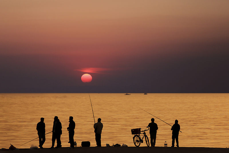 Lives on the coastline.