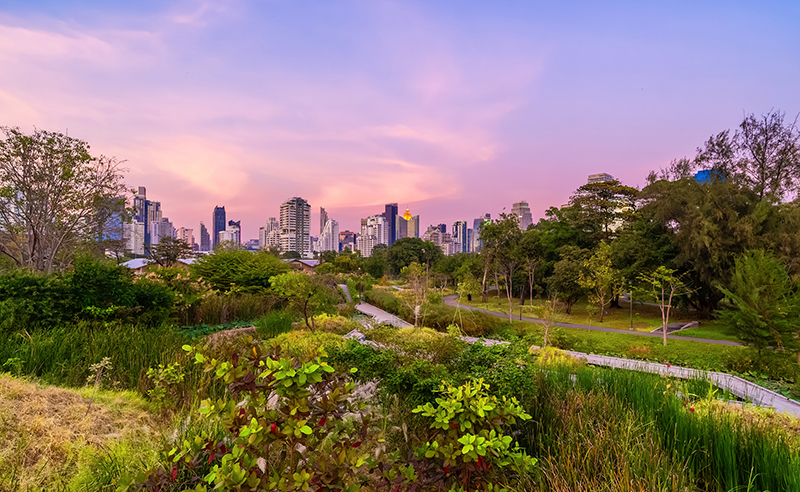 The green space in Bangkok.