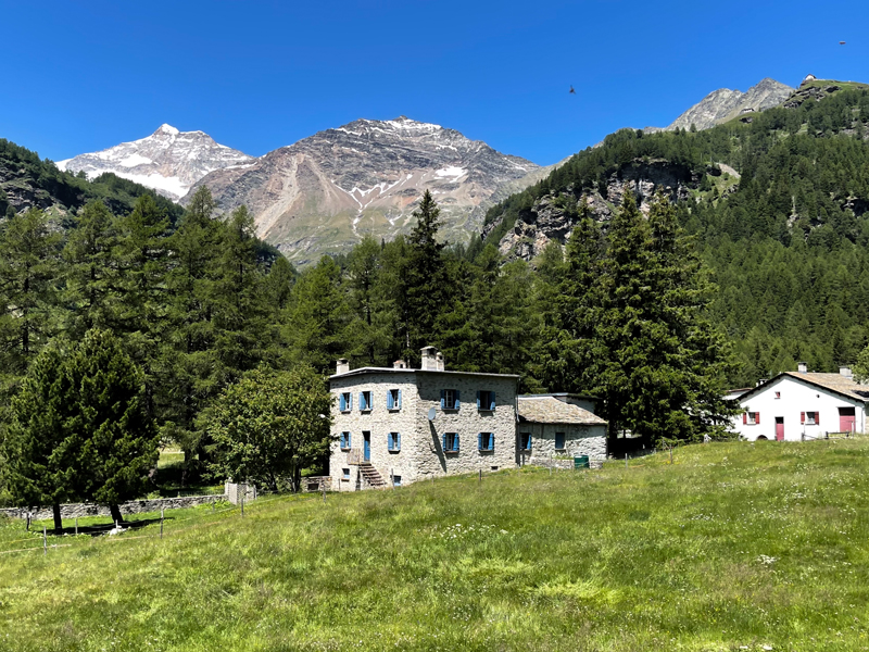 Scenery from the window of an RhB regional train