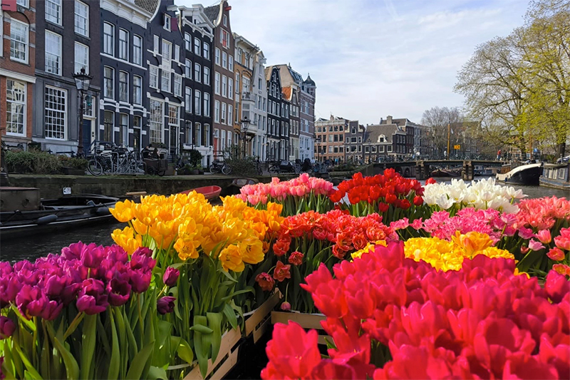 Boat is decorated beautifully with tulips.