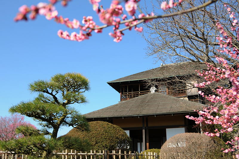 Kairakuen Garden was founded during Edo period.